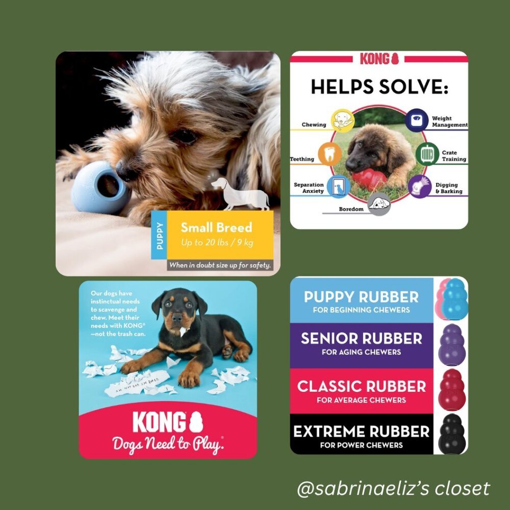 ***NEW*** Kong Puppy - Blue - 3-Pack - Picture 3 of 3